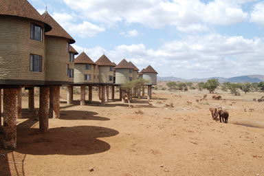 5 Day Tsavo, Amboseli and Taita Hills Sanctuary (Salt Lick)